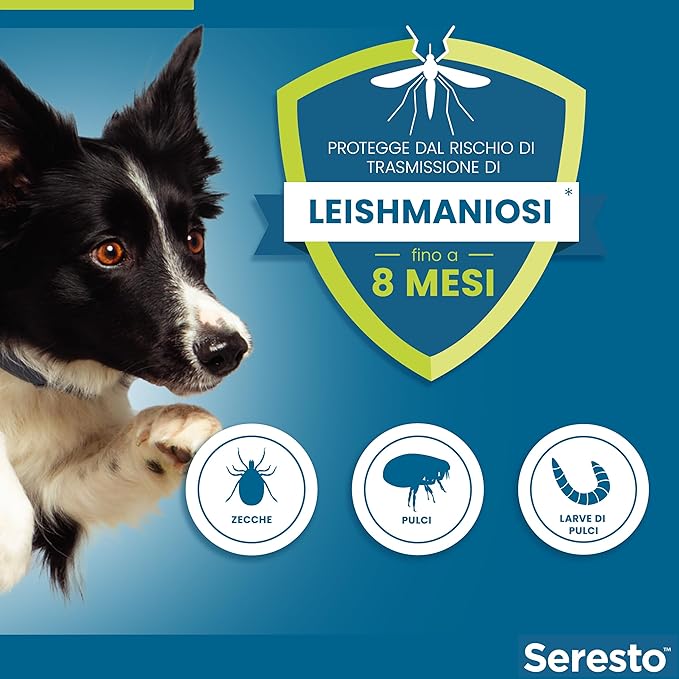 Seresto Collare antiparassitario, Elimina pulci, zecche, pidocchi e protegge dal rischio di trasmissione della leishmaniosi, Per cani fino a 8 kg e fino a 8 mesi - Immagine 3